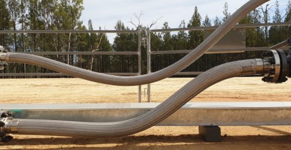 Senex 700x300 1