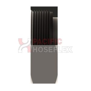 Bsm 304 Ss Hex Nut.jpg